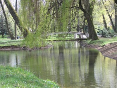 Alexej - Bild 5