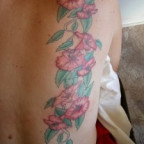 Lolli36 - Bild 2