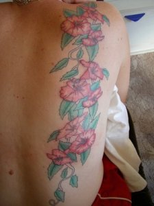 Lolli36 - Bild 2