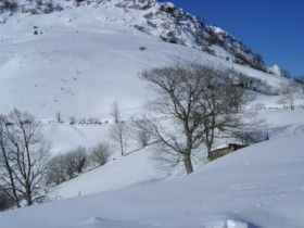 ..Nuberu_T - Bild 3