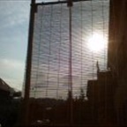 Foxman - Bild 7
