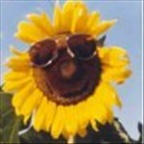 partynator85 - Bild 2