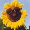 partynator85 - Bild 2