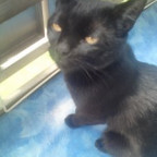 schatzybabyy - Bild 2