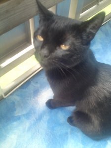 schatzybabyy - Bild 2