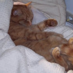 mausi94 - Bild 2