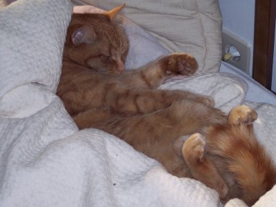 mausi94 - Bild 2
