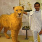 Santhosh30 - Bild 3
