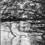 Cherry09 - Bild 7