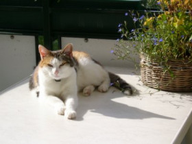 minka-bw - Bild 4