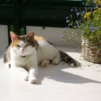 minka-bw - Bild 4