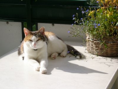 minka-bw - Bild 4