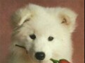 flo_sunray-fm - Bild 8
