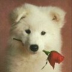flo_sunray-fm - Bild 8