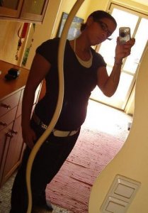 ameise - Bild 3