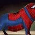 Spiderpig - Bild 2