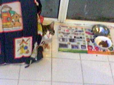 ComputerGenie - Bild 3