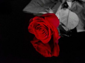 hasipupsieeee - Bild 9
