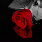 hasipupsieeee - Bild 9