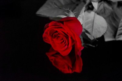 hasipupsieeee - Bild 9