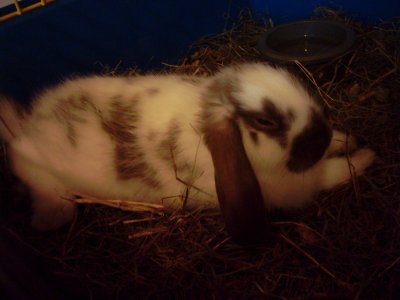 sunny439 - Bild 6