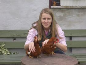 GZSZ-Fan - Bild 1