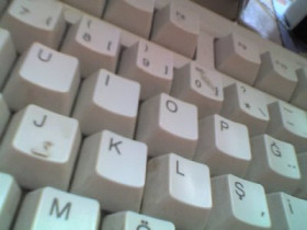 lonurl - Bild 7