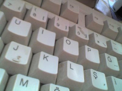 lonurl - Bild 7