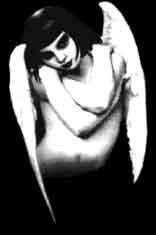 Twiggy - Bild 2