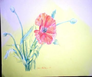 schabbo - Bild 3