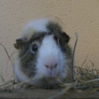 fabi1994 - Bild 4