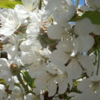 mariann - Bild 8