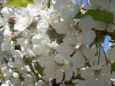 mariann - Bild 8