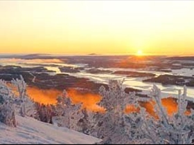 midnightsun - Bild 5