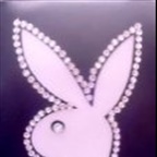 BaCiBeKa - Bild 2
