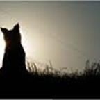 SINA_xD - Bild 6