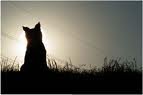 SINA_xD - Bild 6