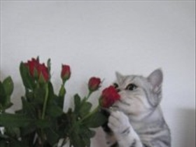 Anastasia_T - Bild 5
