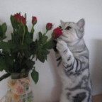 Anastasia_T - Bild 5