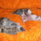 jane84 - Bild 2