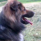 emila28 - Bild 3