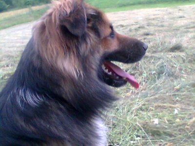 emila28 - Bild 3