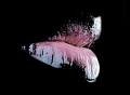 _Franceska_ - Bild 2