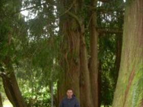 coolljackal - Bild 1