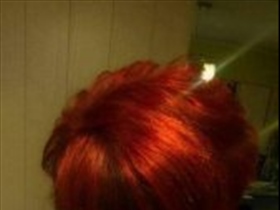 ler22 - Bild 1