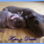 Lissy100 - Bild 3