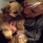 Zoomey - Bild 4