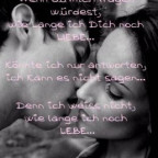 xsonnenscheinx12 - Bild 5