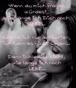 xsonnenscheinx12 - Bild 5