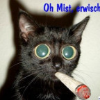 mir_is_fad - Bild 11